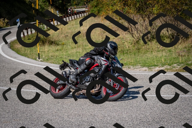 202509061208-DSC_0963_c2