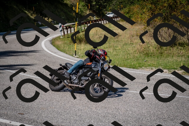 202509061208-DSC_0978_c2