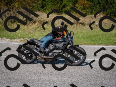 202509061208-DSC_0979_c2