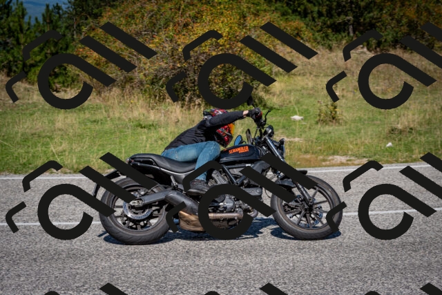 202509061208-DSC_0980_c2