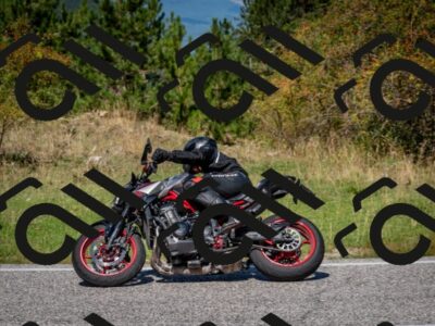 202509061209-DSC_0981_c2