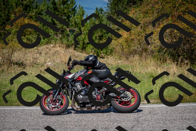 202509061209-DSC_0981_c2