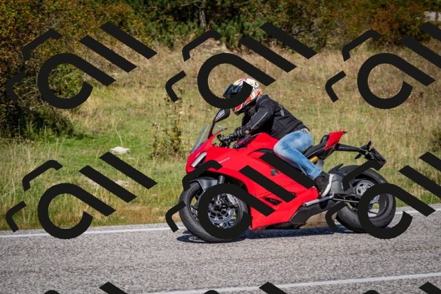 202509061209-DSC_0990_c2