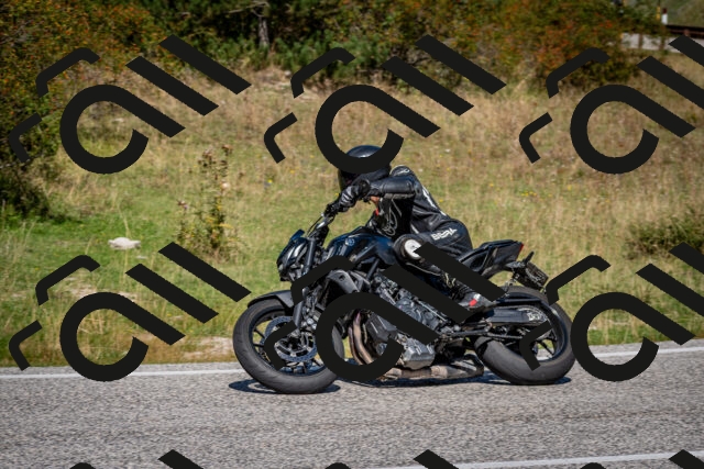 202509061209-DSC_0993_c2