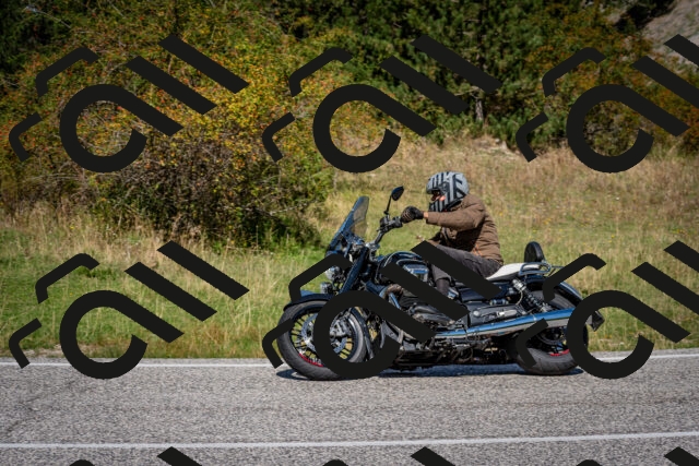 202509061209-DSC_0999_c2