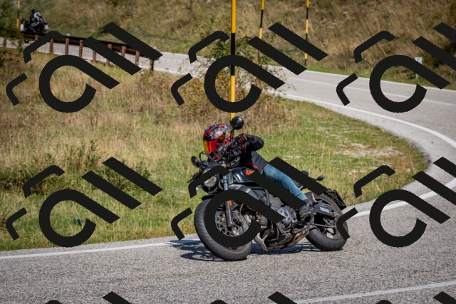 202509061209-DSC_1001_c2