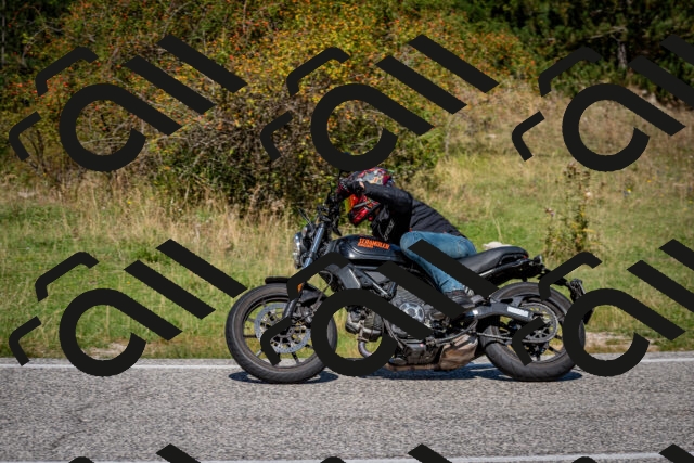 202509061209-DSC_1002_c2