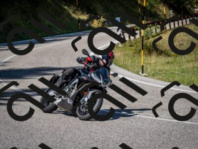 202509061209-DSC_1005_c2