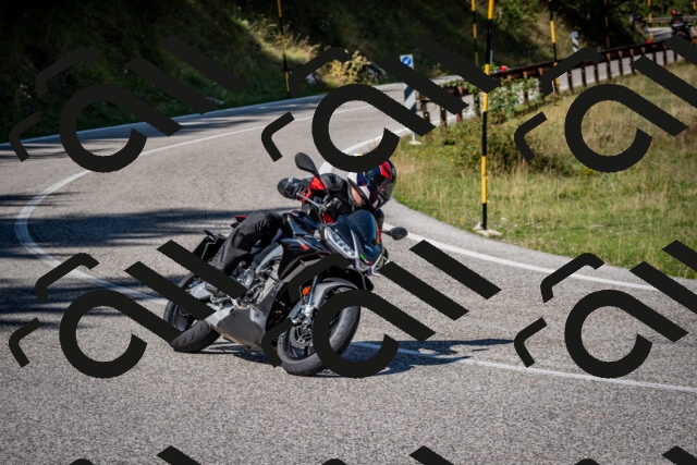 202509061209-DSC_1005_c2