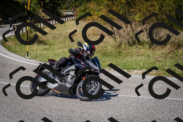 202509061209-DSC_1006_c2