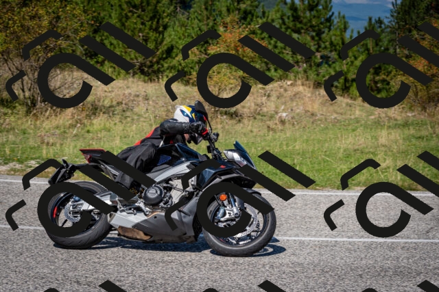 202509061209-DSC_1007_c2