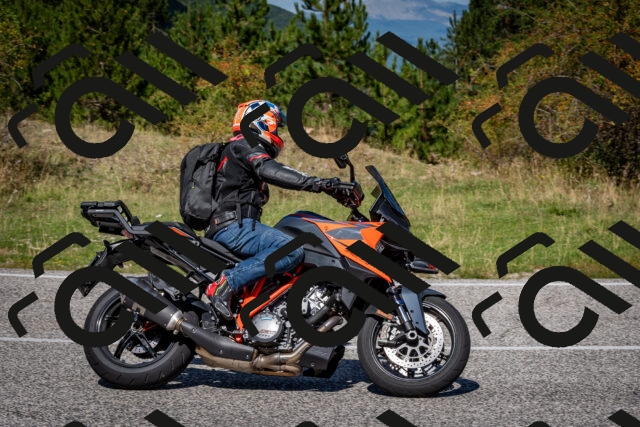 202509061210-DSC_1012_c2