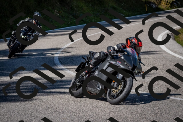 202509061210-DSC_1013_c2