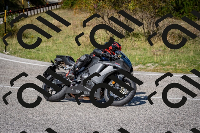 202509061210-DSC_1014_c2