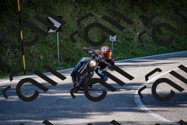 202509061210-DSC_1018_c2