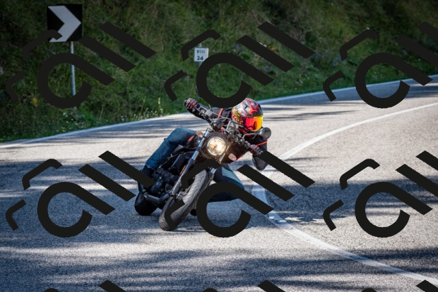 202509061210-DSC_1019_c2