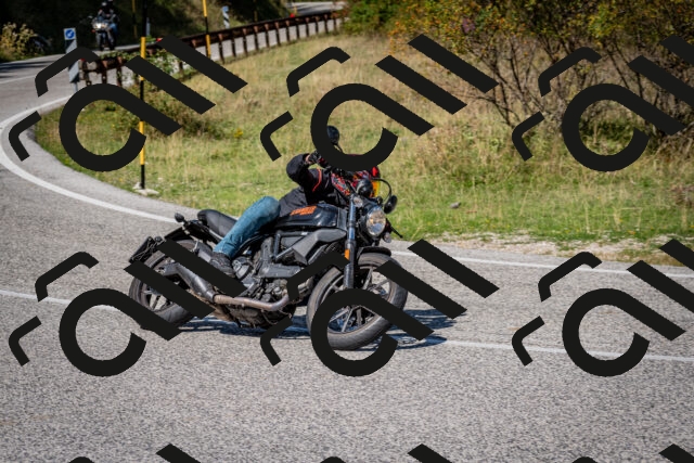 202509061210-DSC_1020_c2