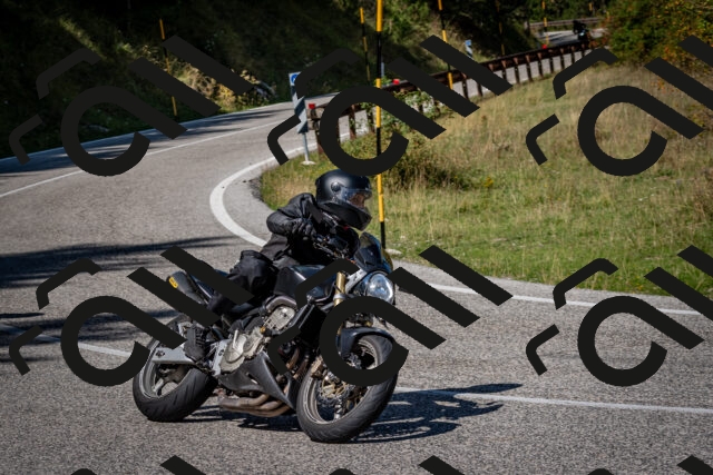 202509061213-DSC_1044_c2