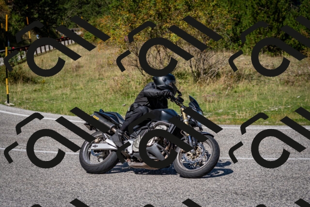 202509061213-DSC_1045_c2