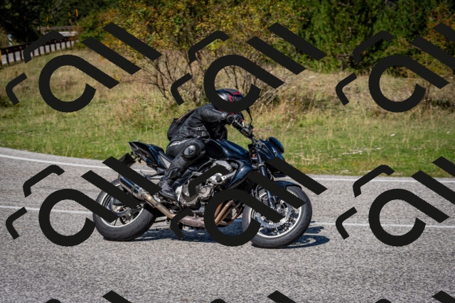 202509061213-DSC_1049_c2