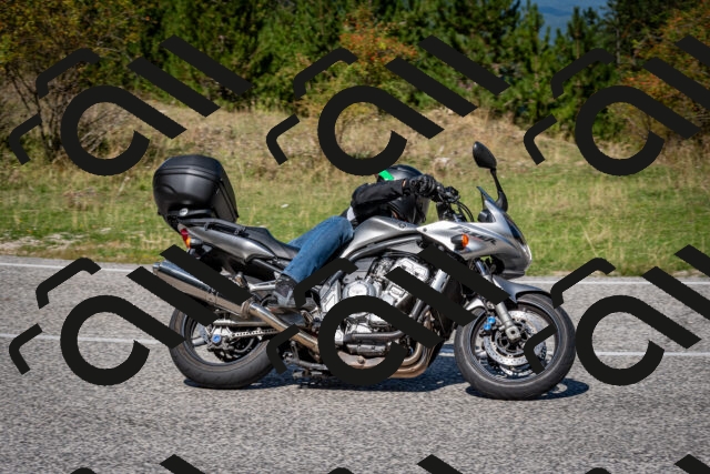 202509061213-DSC_1054_c2