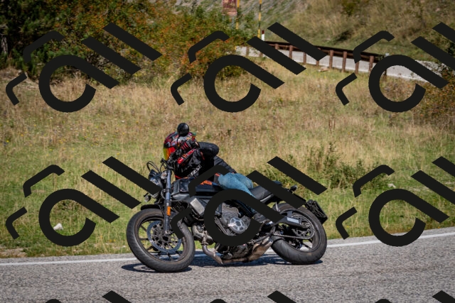 202509061214-DSC_1066_c2