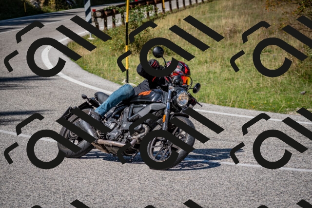 202509061215-DSC_1077_c2