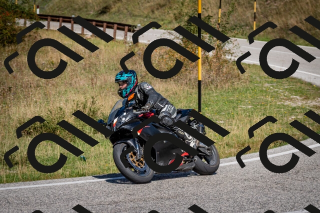 202509061216-DSC_1100_c2