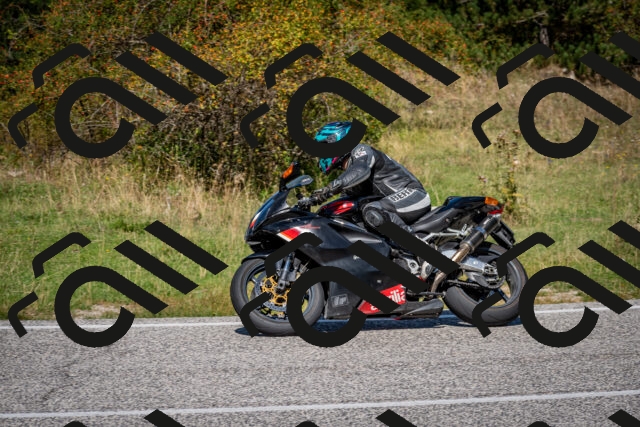 202509061216-DSC_1101_c2