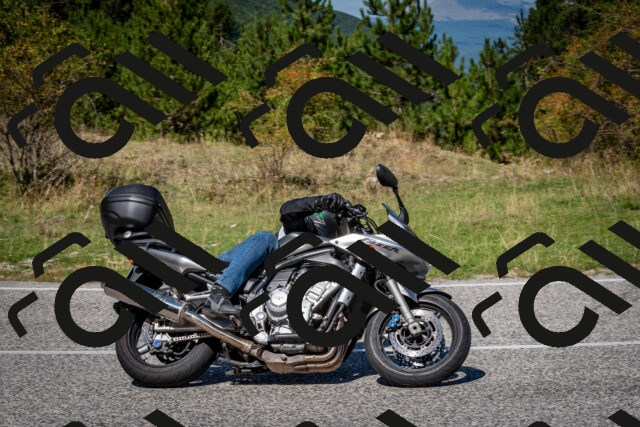 202509061217-DSC_1103_c2