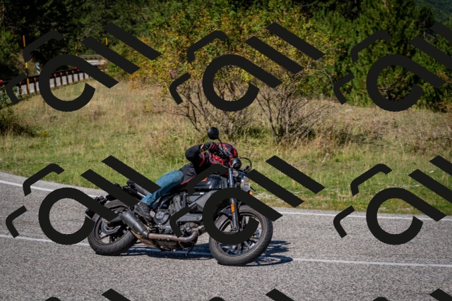 202509061217-DSC_1104_c2