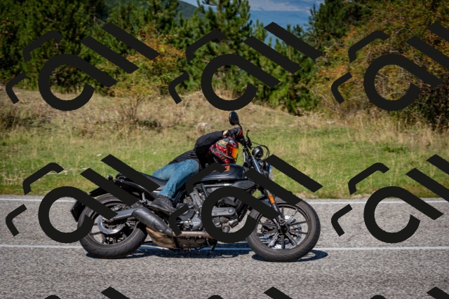 202509061217-DSC_1105_c2