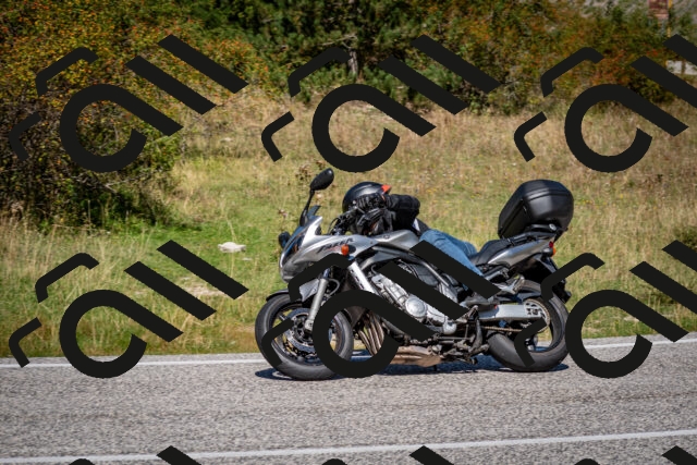 202509061217-DSC_1111_c2