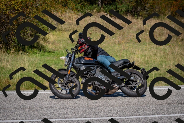 202509061217-DSC_1114_c2