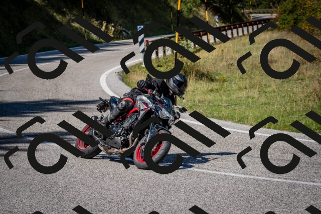 202509061218-DSC_1115_c2