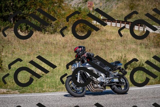 202509061218-DSC_1118_c2