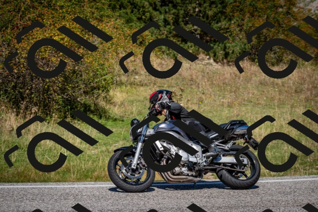 202509061218-DSC_1119_c2