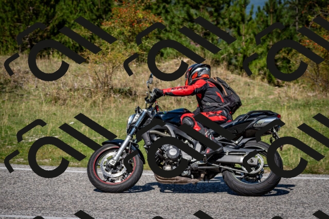 202509061218-DSC_1121_c2