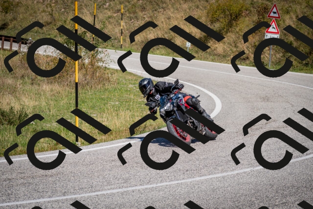 202509061218-DSC_1125_c2