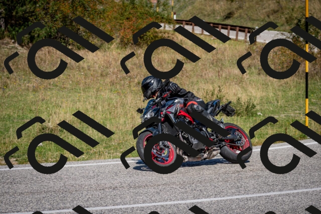 202509061218-DSC_1126_c2