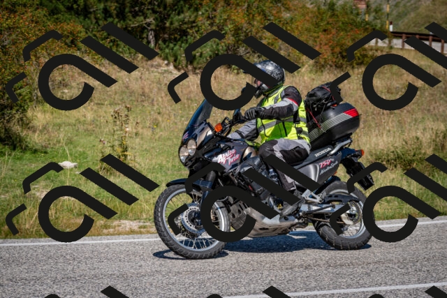 202509061219-DSC_1129_c2