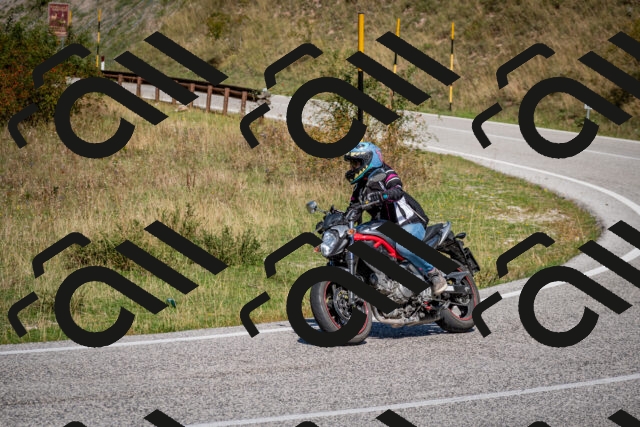 202509061219-DSC_1130_c2