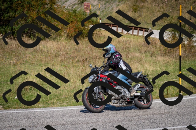 202509061219-DSC_1131_c2