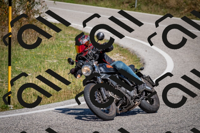 202509061220-DSC_1134_c2