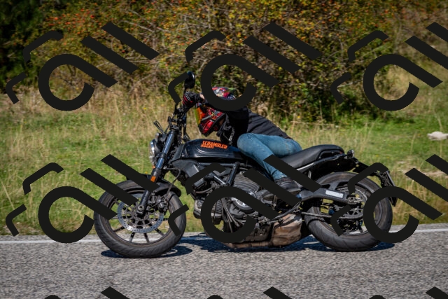 202509061220-DSC_1135_c2