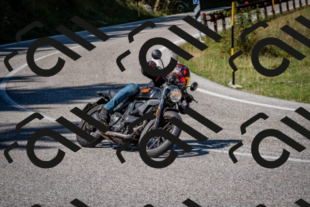 202509061221-DSC_1144_c2