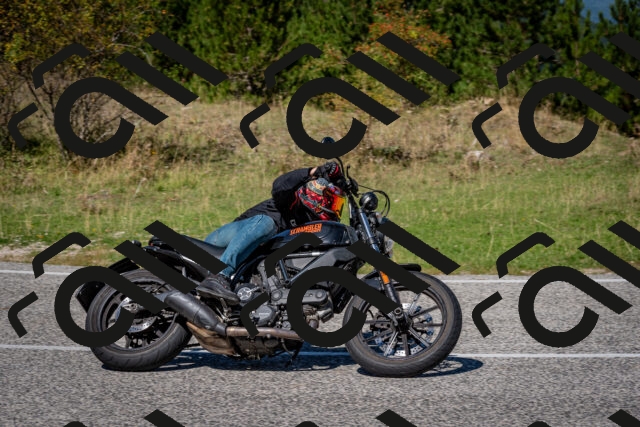 202509061221-DSC_1145_c2