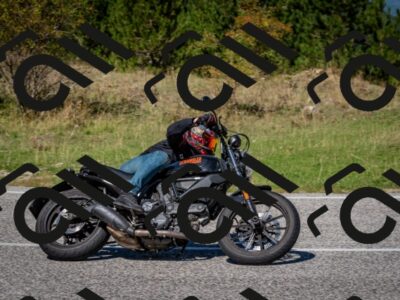 202509061221-DSC_1145_c2