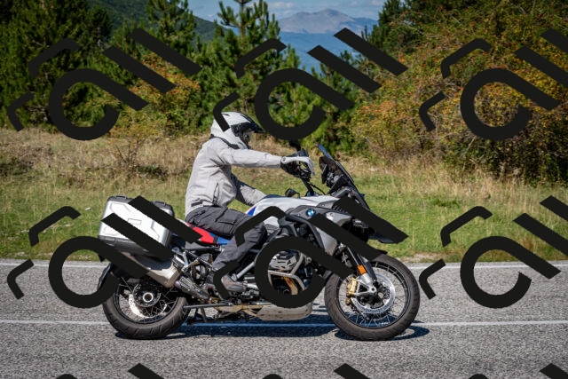 202509061223-DSC_1168_c2