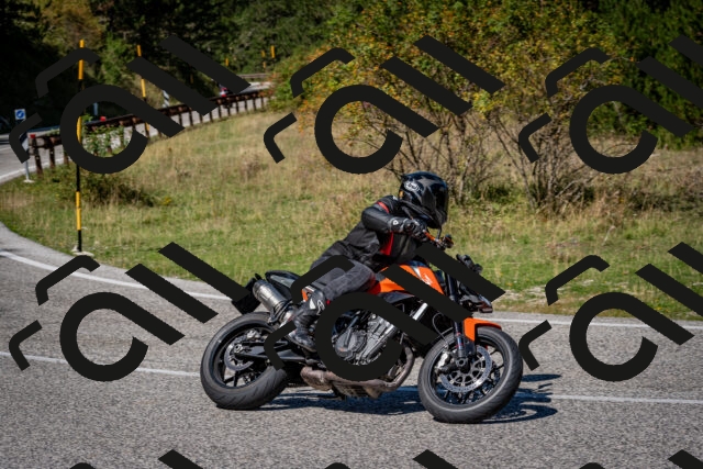 202509061224-DSC_1194_c2